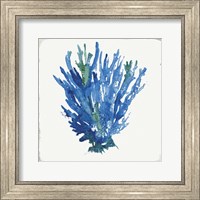 Framed 'Blue and Green Coral III' border=