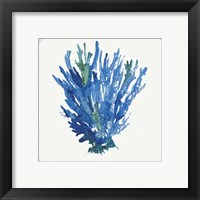 Framed 'Blue and Green Coral III' border=