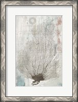 Framed Shabby Chic I