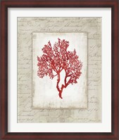 Framed Red Coral II Border