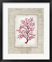 Framed Red Coral III Border