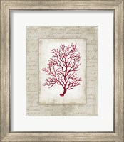 Framed Red Coral III Border