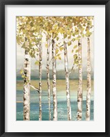 Down by the River I Framed Print
