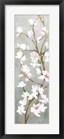 Framed Budding Magnolia I