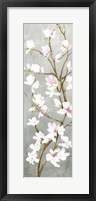Budding Magnolia I Framed Print