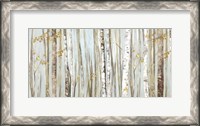 Framed Birchscape I