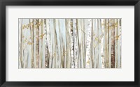 Framed Birchscape I