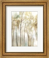 Framed Sapling I