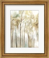 Framed Sapling I