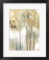 Framed Sapling II