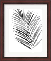 Framed BW Palm IV