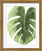 Framed Palm Green I
