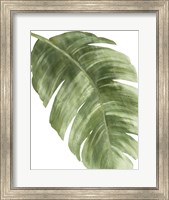 Framed Palm Green II