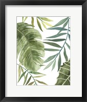 Tropical Mix II Framed Print