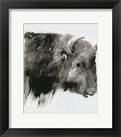 Framed Black Bison