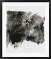 Framed Black Bison