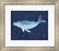 Framed Hums of the Humpback