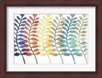 Framed Fresh Ferns