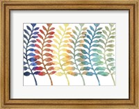 Framed Fresh Ferns