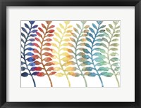 Framed Fresh Ferns