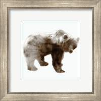 Framed 'Bear' border=