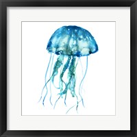 Framed 'Jellyfish' border=