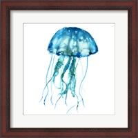 Framed Jellyfish