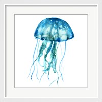 Framed 'Jellyfish' border=