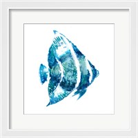 Framed Fish I