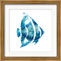Framed Fish I