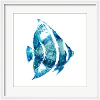 Framed Fish I