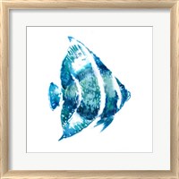 Framed 'Fish I' border=