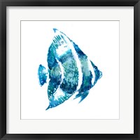 Framed 'Fish I' border=