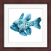 Framed Fish II