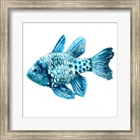 Framed Fish II