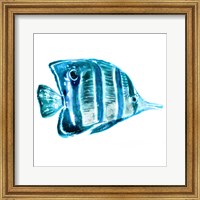Framed Fish III
