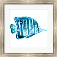 Framed Fish III