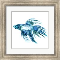 Framed Fish IV