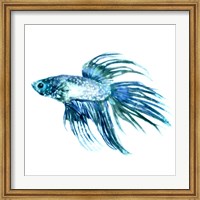 Framed Fish IV