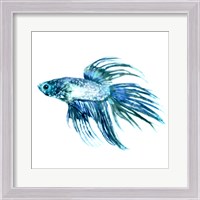 Framed Fish IV