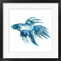 Fish IV Framed Print