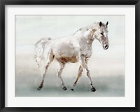 Framed White Horse