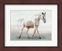 Framed White Horse