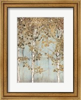 Framed Soft Birch