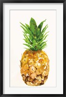 Framed Pineapple I