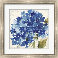 Framed Hampton Hydrangea II