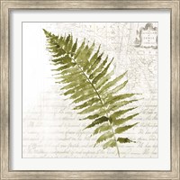 Framed 'Fern II' border=