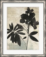Framed Inky Floral II