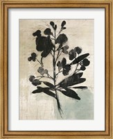 Framed Inky Floral III