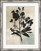 Framed Inky Floral III
